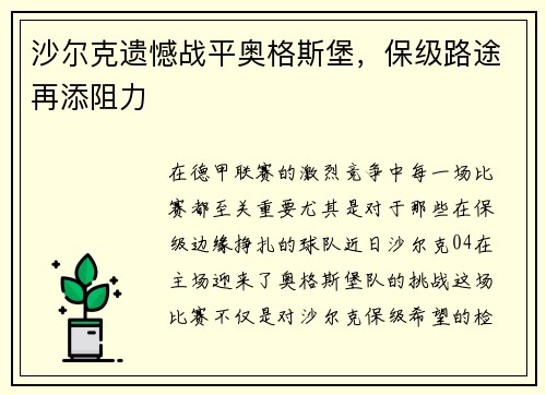 沙尔克遗憾战平奥格斯堡，保级路途再添阻力